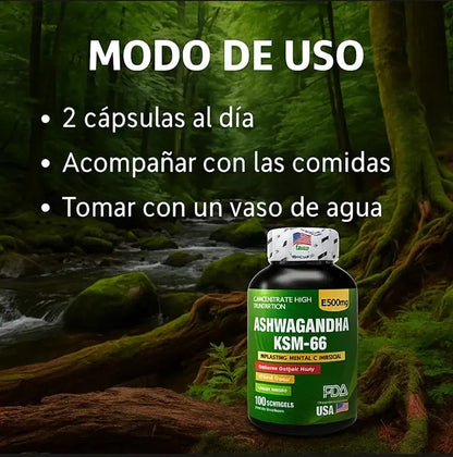 ASHWAGANDHA KSM-66™ – Duerme mejor, vive con menos estrés