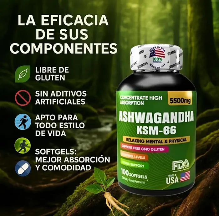 ASHWAGANDHA KSM-66™ – Duerme mejor, vive con menos estrés