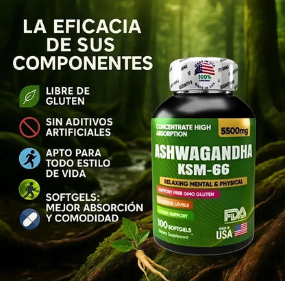ASHWAGANDHA KSM-66™ – Duerme mejor, vive con menos estrés