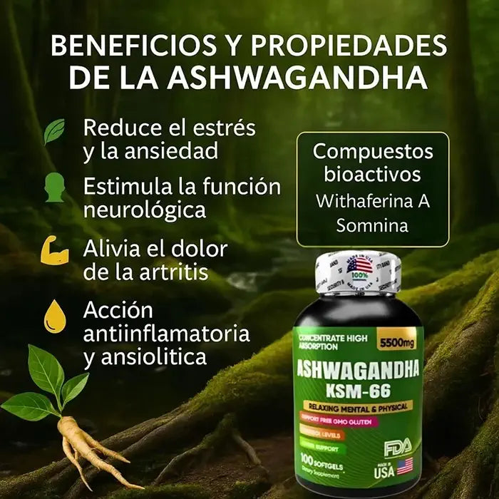 ASHWAGANDHA KSM-66™ – Duerme mejor, vive con menos estrés