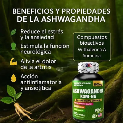 ASHWAGANDHA KSM-66™ – Duerme mejor, vive con menos estrés